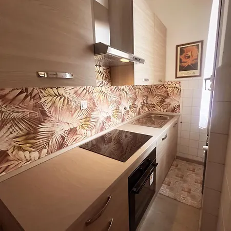 Casa Dody Apartament *