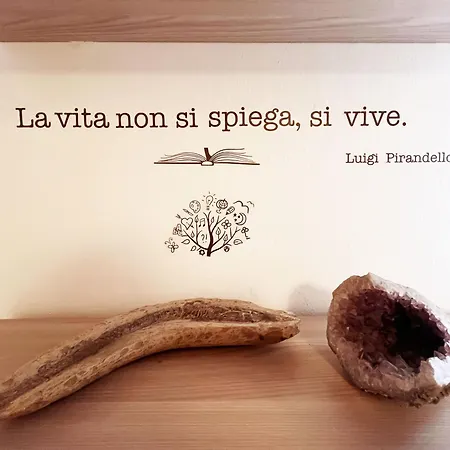 Apartament Casa Dody *